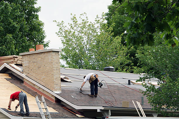 Best Roof Maintenance and Cleaning  in Robinson, IL